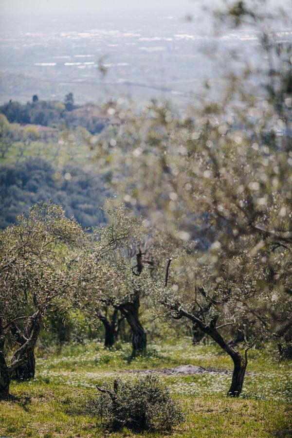 Villa Desiderio Tuscany Pistoia Eksteriør bilde