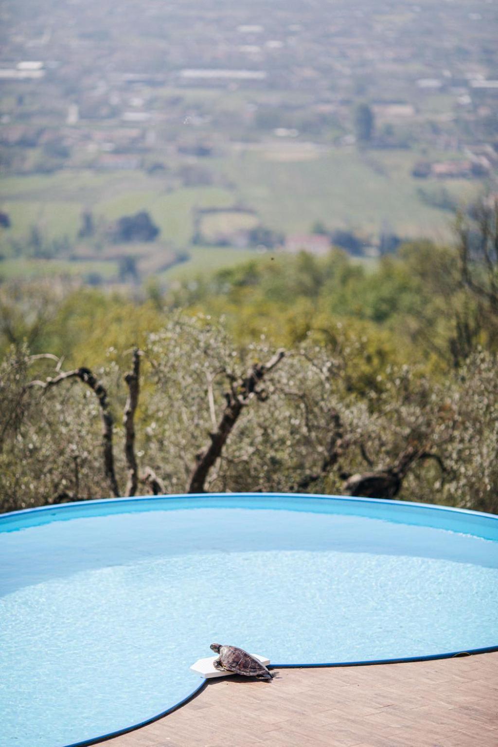 Villa Desiderio Tuscany Pistoia Eksteriør bilde