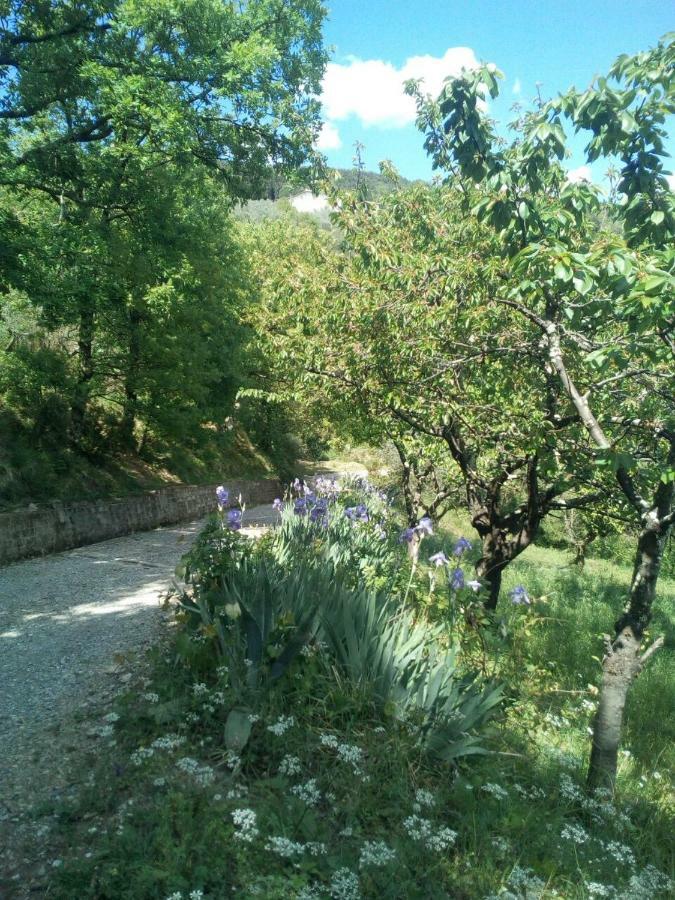 Villa Desiderio Tuscany Pistoia Eksteriør bilde